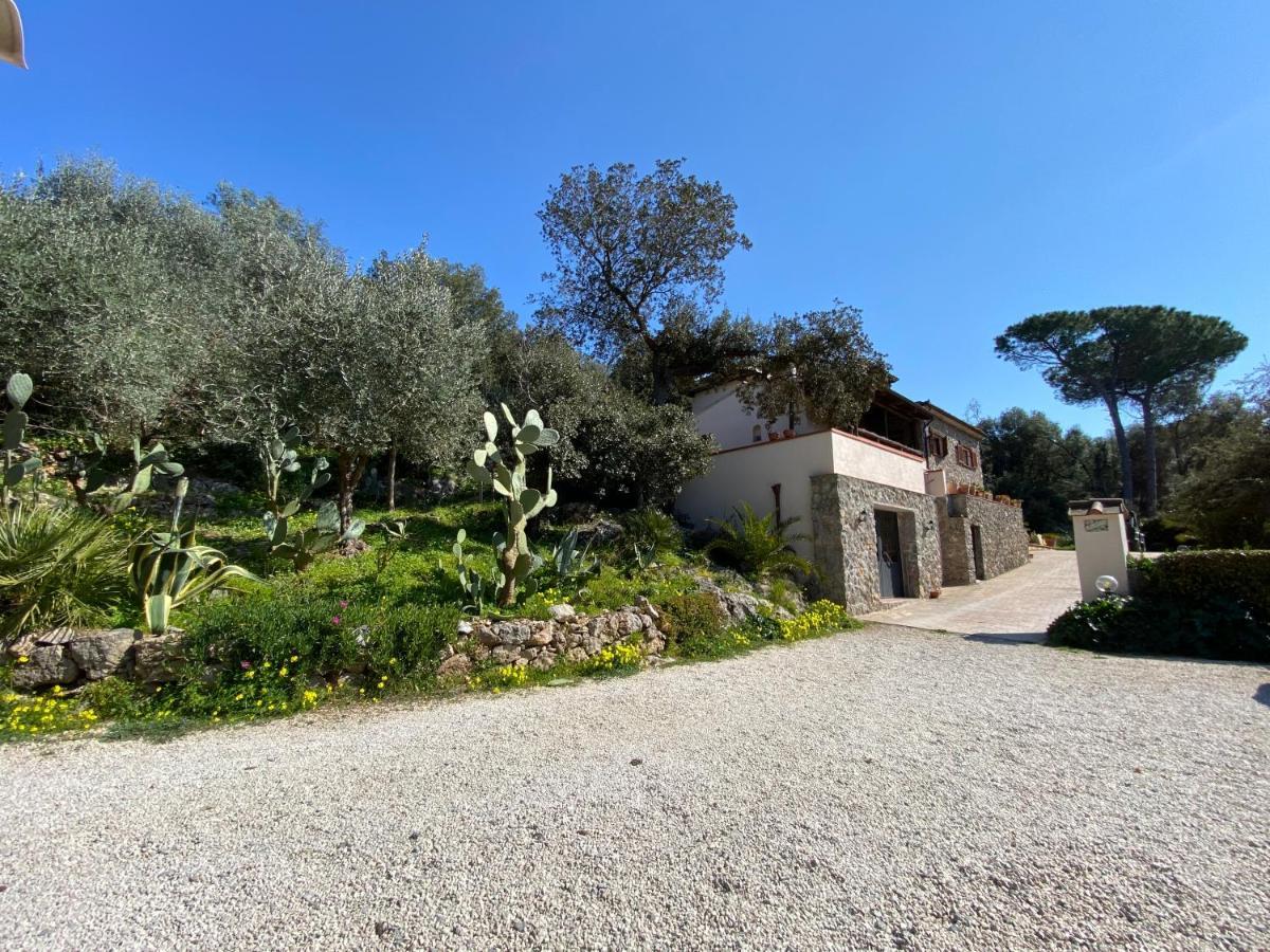 Villa Paradisino Orbetello Kültér fotó