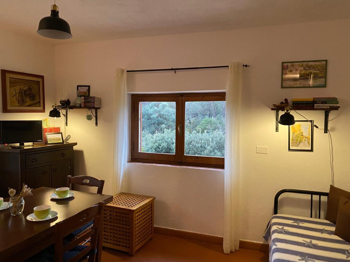 Villa Paradisino Orbetello Kültér fotó