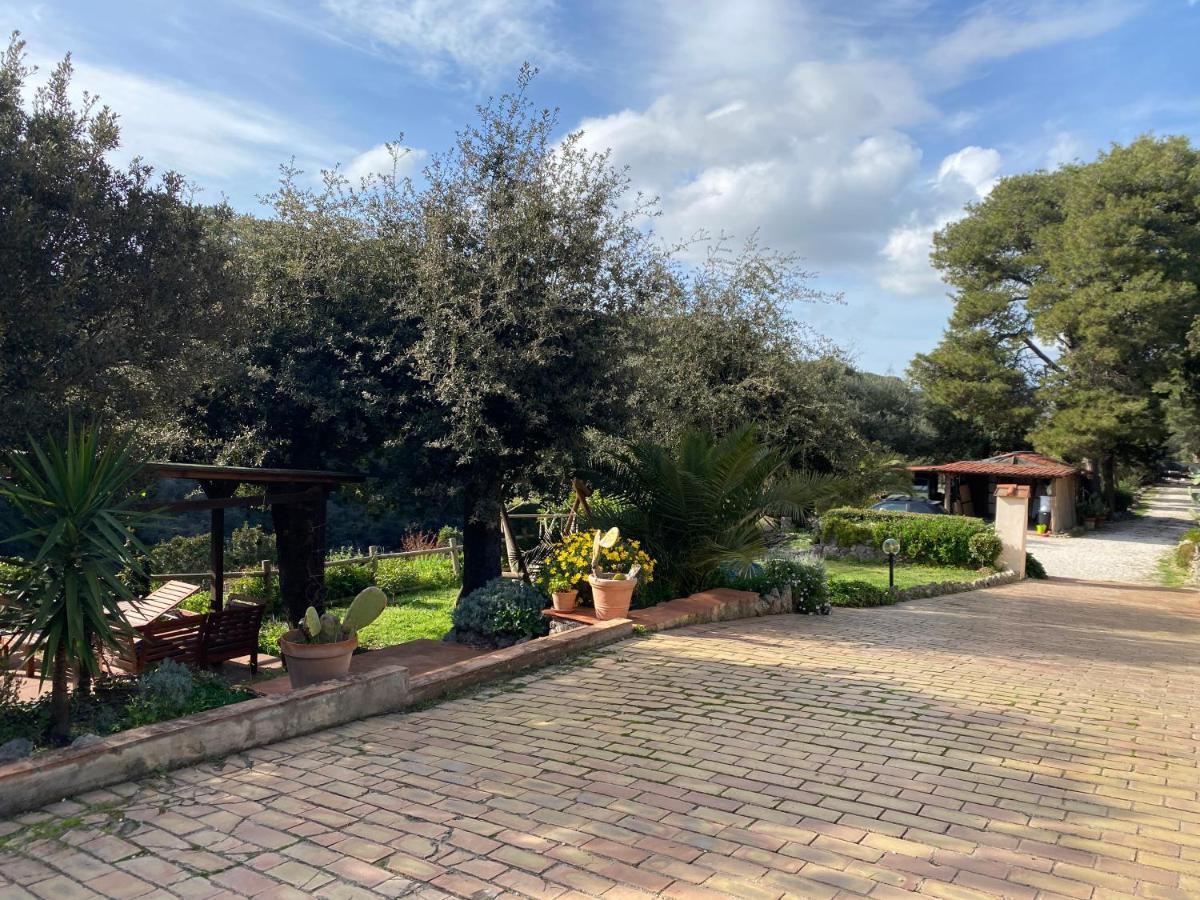 Villa Paradisino Orbetello Kültér fotó