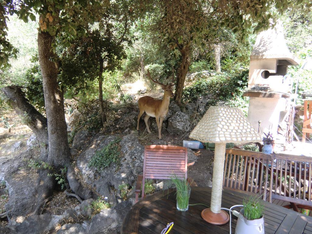 Villa Paradisino Orbetello Szoba fotó