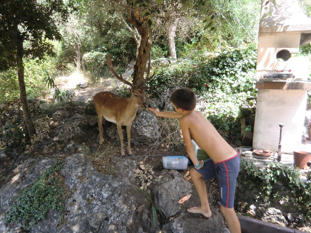 Villa Paradisino Orbetello Szoba fotó