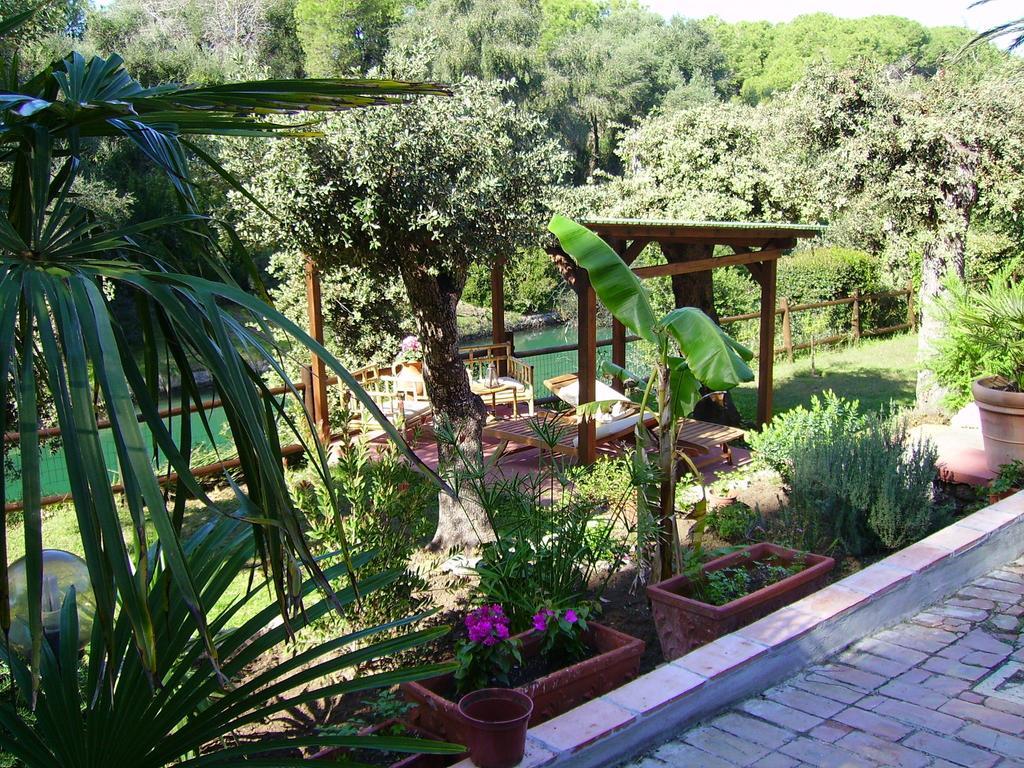 Villa Paradisino Orbetello Szoba fotó