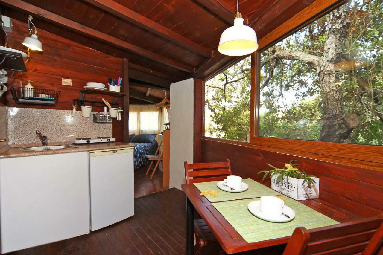Villa Paradisino Orbetello Kültér fotó