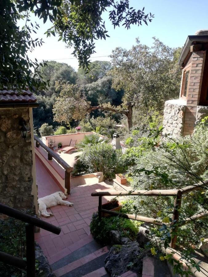 Villa Paradisino Orbetello Kültér fotó